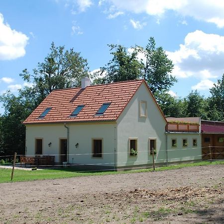 Appartement Penzion Staj Návary Extérieur photo