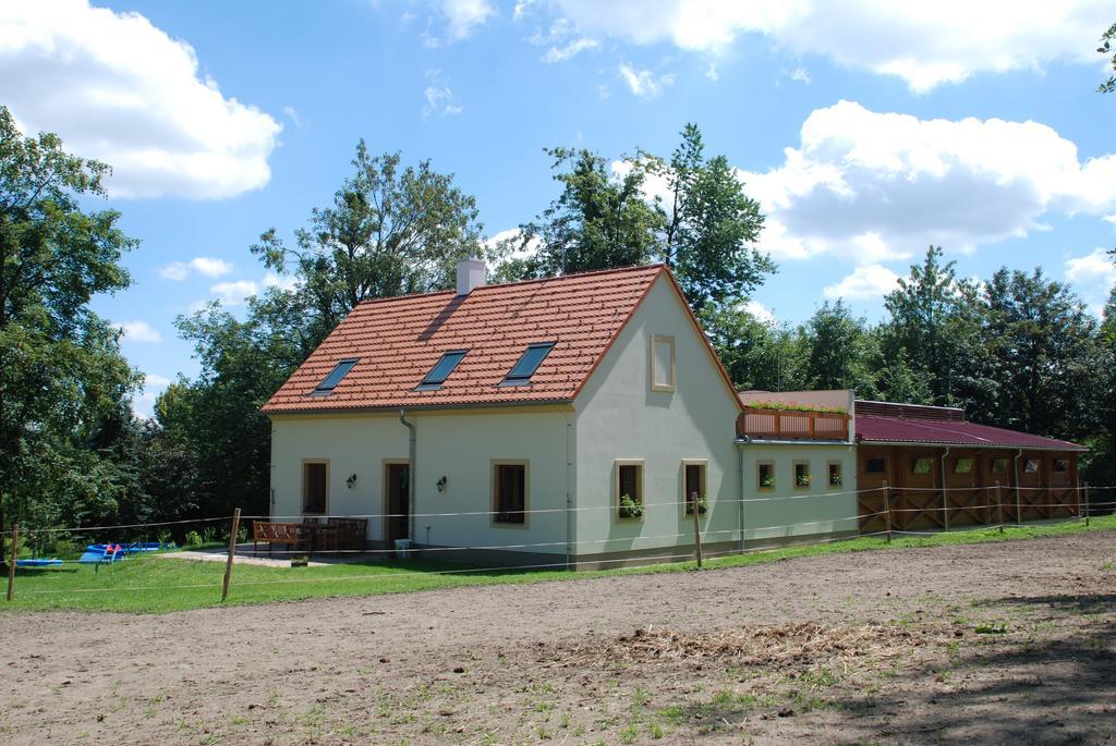 Appartement Penzion Staj Návary Extérieur photo